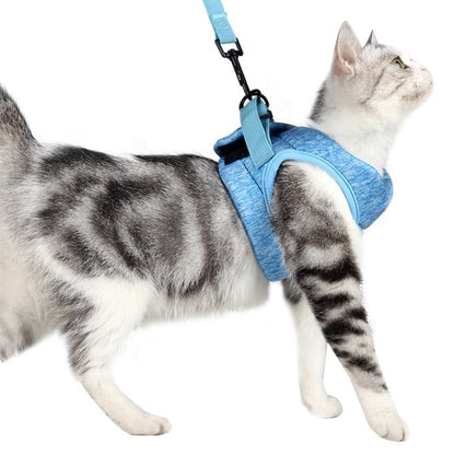 Cat Leash Pet Chest Harness Leash, Size: M(Sky Blue) - Leashes by PMC Jewellery | Online Shopping South Africa | PMC Jewellery
