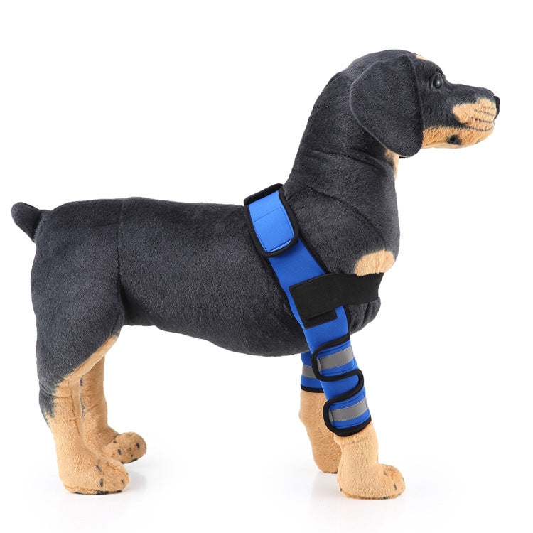 Pet Dog Leg Knee Guard Surgery Injury Protective Cover, Size: M(Anti-glory Model (Blue)) - Pet Care by PMC Jewellery | Online Shopping South Africa | PMC Jewellery