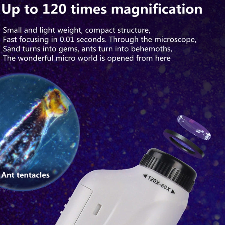 Children Handheld Portable Laboratory Equipment Microscope Toys, Colour: Lite + Bracket (Blue) - Digital Microscope by PMC TechLife | Online Shopping South Africa | PMC TechLife | Buy Now Pay Later Mobicred